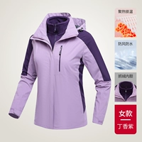 Женский стиль // фиолетовый