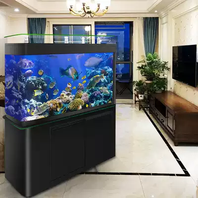 Large fish tank aquarium water-free living room floor household ultra-white glass ecological filter bottom filter fish tank