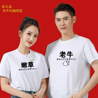 Модель старой говяжьей нежной говядины