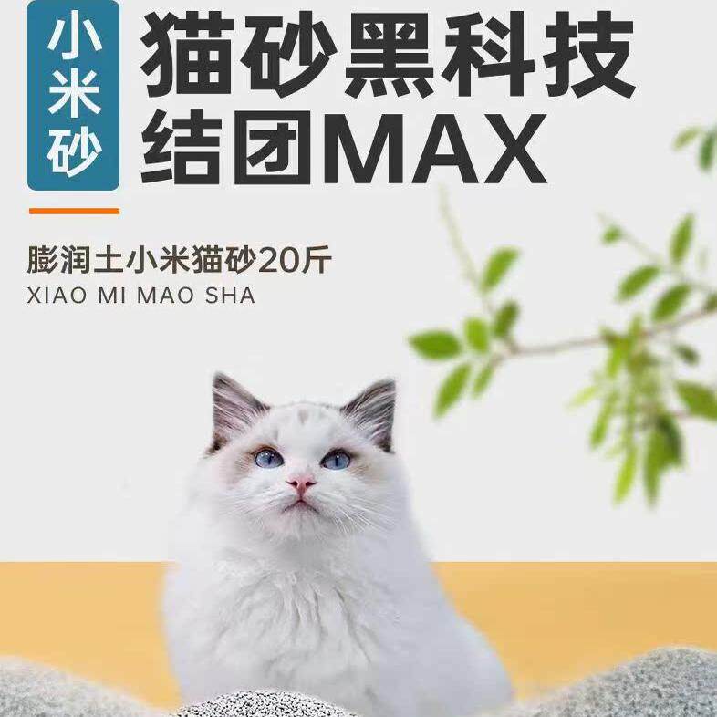 梦的光点宠物用品店