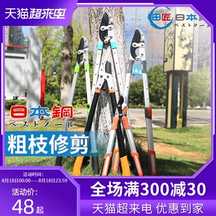 Япония Грубые ветви энергично Резка ремесленника зеркало телескопической дизайн