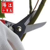 Промышленные железные ножницы Changzui Практическое садовое инструмент выбора фруктов, режущие филиалы, ножницы для садовых ножниц