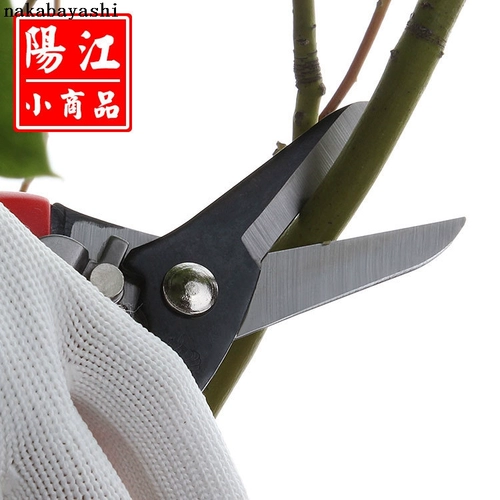 Промышленные железные ножницы Changzui Практическое садовое инструмент выбора фруктов, режущие филиалы, ножницы для садовых ножниц