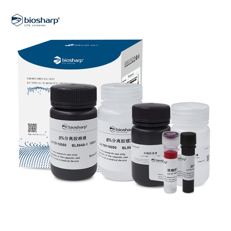 SDS-PAGE彩色凝胶快速制备试剂盒 8%Biosharp BL564A