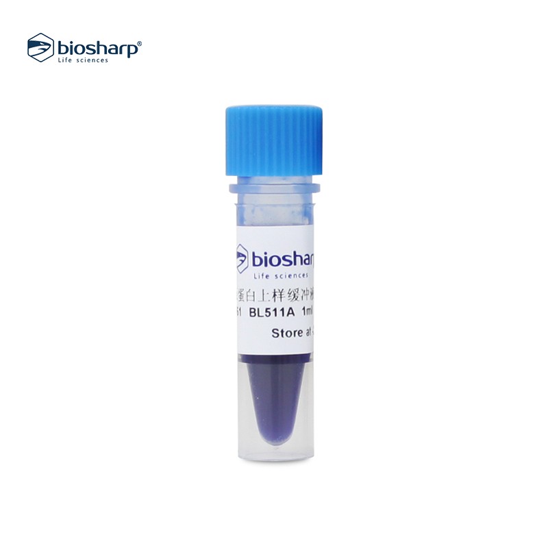 SDS-PAGE蛋白上样缓冲液变性非还原性biosharp BL511A BL511B 5x