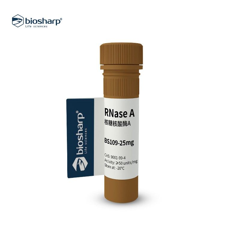 Biosharp BS109-100mg  RNase A 核糖核酸酶A
