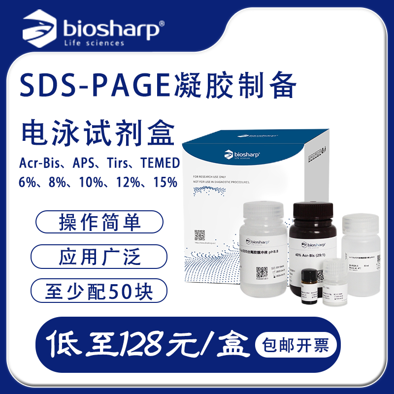 biosharp BL522A SDS-PAGE凝胶快速制备及电泳试剂盒蛋白染色白鲨