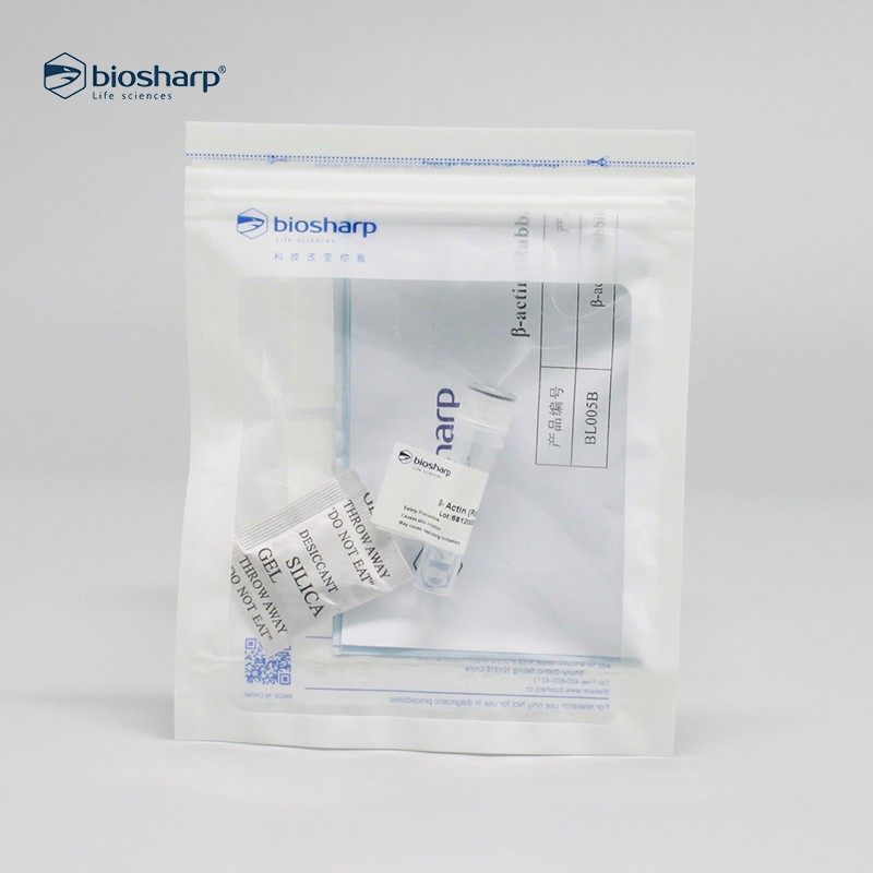 biosharp BL005B Anti-&beta;-Actin Rabbit Polyclonal内参抗体