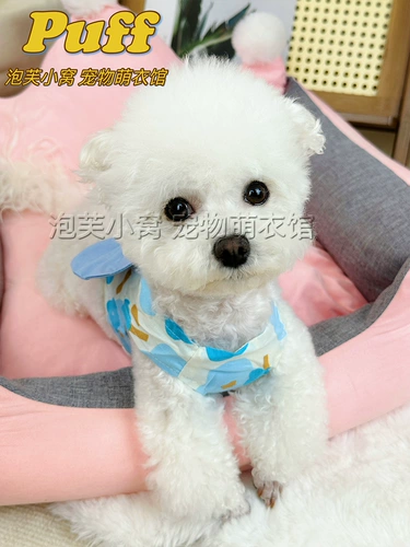 Жилет Pet Teddy Berki Bomek Summer Dog Одежда со сцеплением