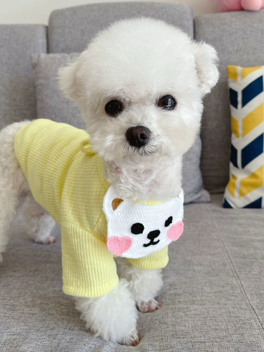 Пат -питомец Бишон Бомеи Снаунри маленький и маленький щенок щенка