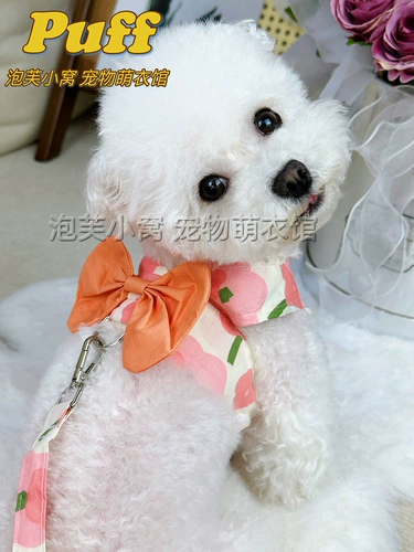 Жилет Pet Teddy Berki Bomek Summer Dog Одежда со сцеплением