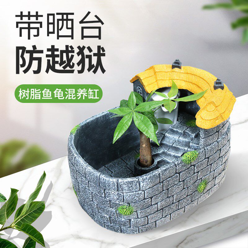 Brazilian tortoise cylinder small turtle cylinder with sundae small glass cylinder medium-sized villa creative gold fish tank table top turtle cylinder