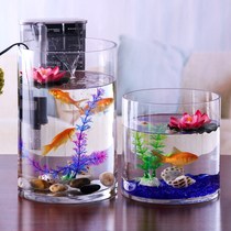 Thickened cylindrical large size glass gold fish tank table living room Tropical filter straight cylinder peacock round small fish tank