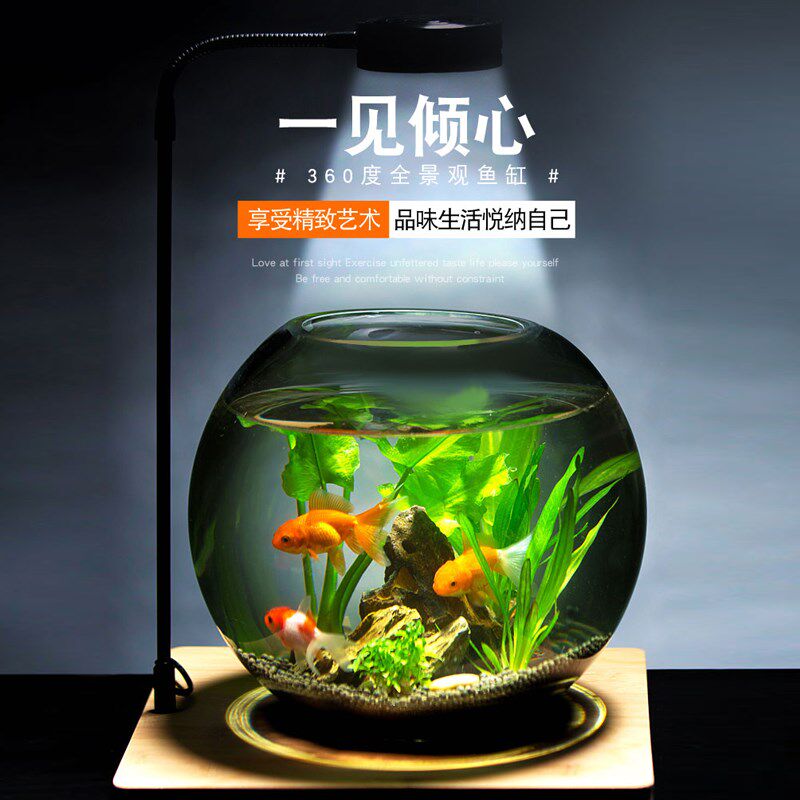 Glass fish tank thickened living room small delicately built view round spherical home gold fish tank tabletop mini-turtle cylinder
