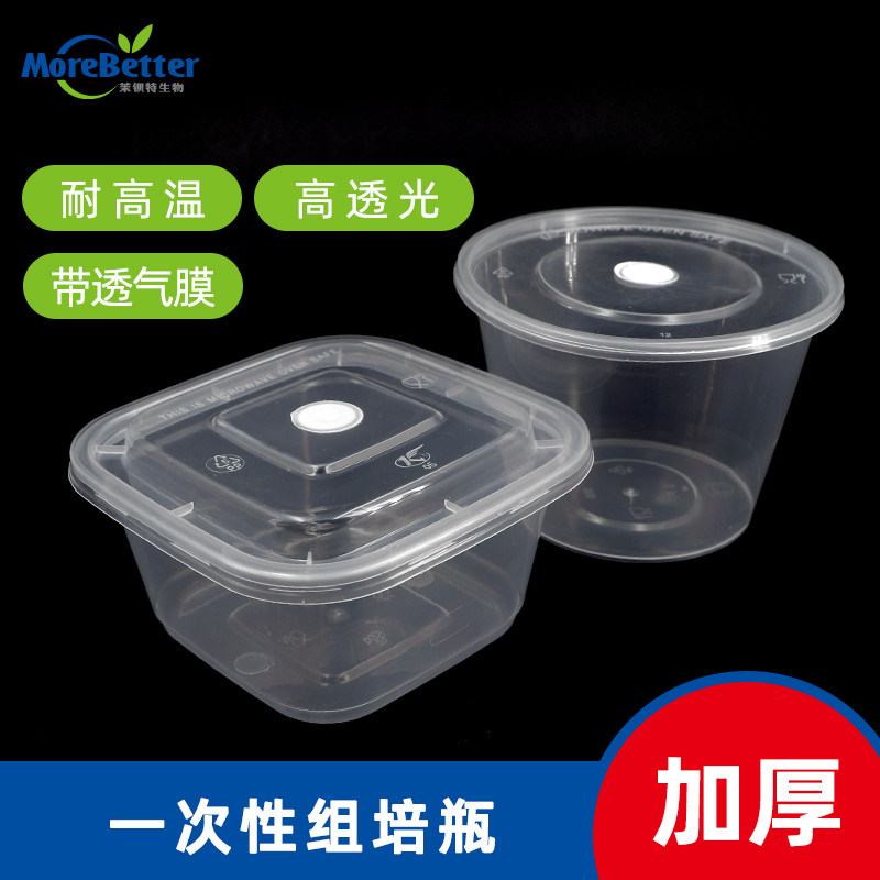 一次性pp塑料组培瓶组培盒透气透光可高温高压灭菌消毒透气盖瓶子