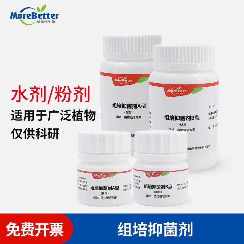 培养基杀菌剂组织培养抑菌剂植物抗菌剂新手家庭开放式组培防污染