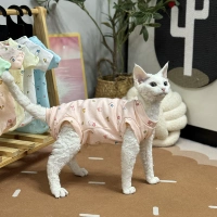 Оранжевый четыре фута