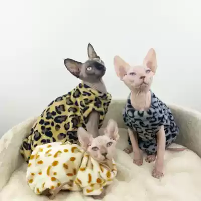 Sphinx hairless cat clothes autumn and winter thick winter plus velvet BAO WEN flannel four-legged clothes belly cat clothes