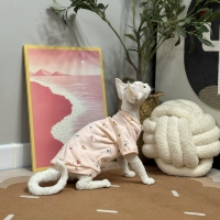 Оранжевый, короткий рукав