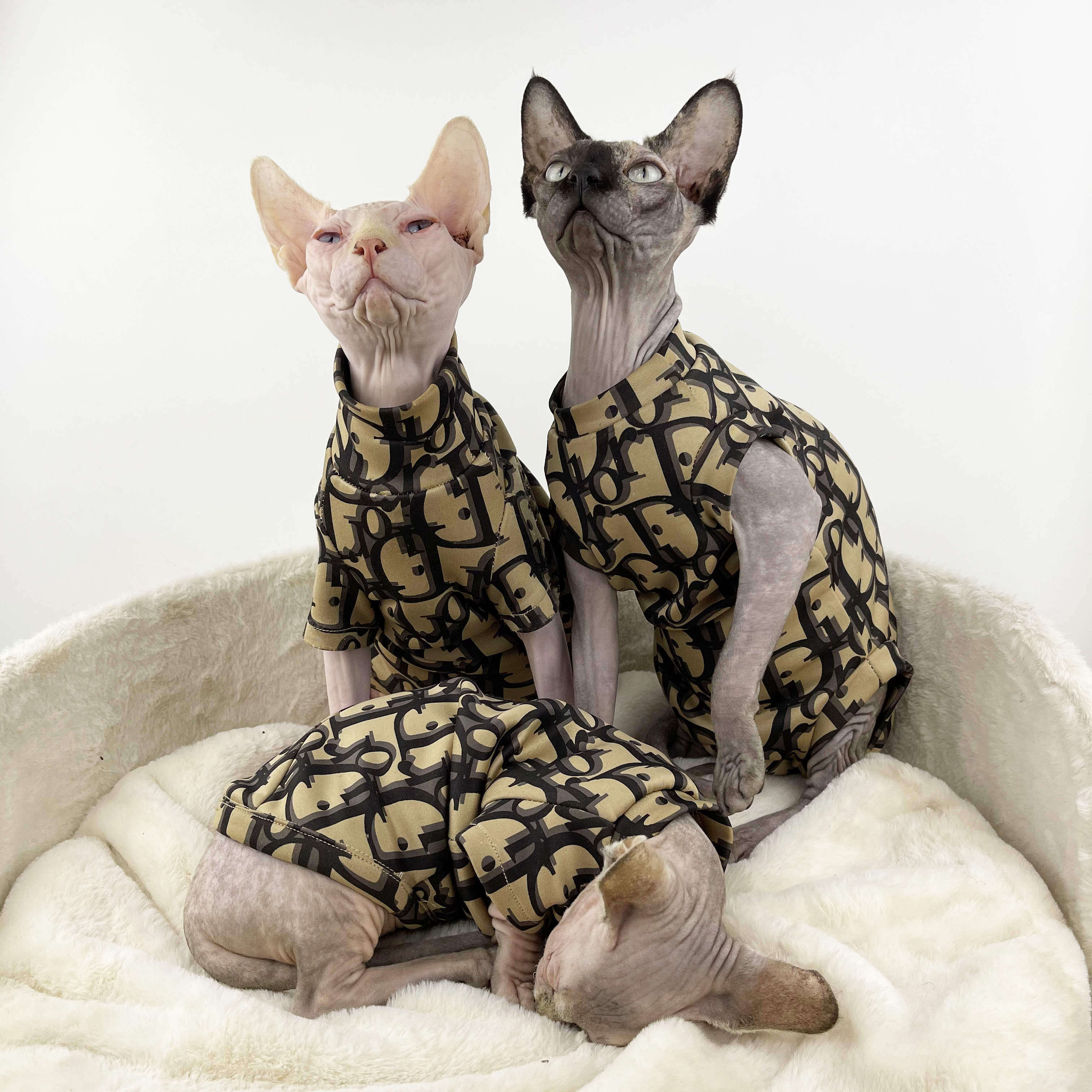 Sphinx clothes short feet hairless cat spring and autumn inner cotton tide brand clothes four-legged clothes hypoallergenic cat clothes