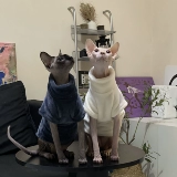 Одежда для кошачьей кошки в зимнем двойном двойном грунке фланелевая водолаз