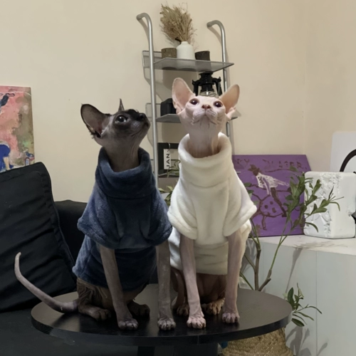 Одежда для кошачьей кошки в зимнем двойном двойном грунке фланелевая водолаз