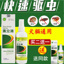 Flea CLEAR kitty puppies in vitro deworming teddy gold wool pets remove flea ticks ticks and insect repellent spray