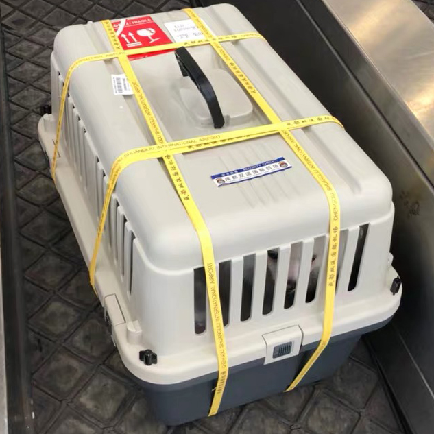 iata air box dog and cat consignment box air box portable car pet box pet air box small medium and large consignment