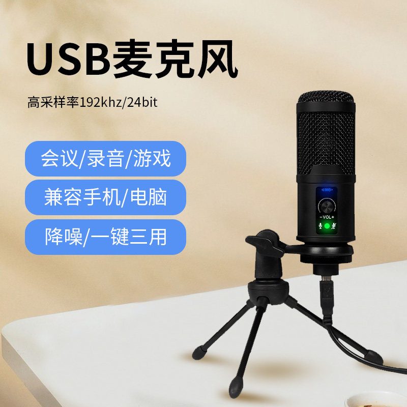 BM-65 microphone computer desktop notebook recording special main sob live game voice equipment dubbing internet coursing music home microphone usb interface capacitive professional external receiving sound
