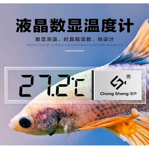 Термометр, прозрачный аквариум для обучения математике, измерение температуры