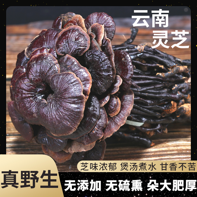 Yunnan Bamboo Lingzhi Dry Goods Authentic Forest Cheese Red Lingzhi Purple Lingzhi Sheet Whole Branches 250g Bulk Wild Lingzhi Purple Cheese