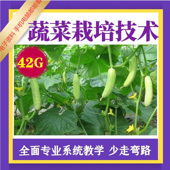 Vegetable planting technology video tutorial seedling breeding seed production fertilization greenhouse cultivation pest control complete set