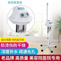 Cold Spray Machine Beauty Salon Face Dual-use Hot Spray Double Pipe Steamer Single Hot Single Spray Humidifier Facial Steamed face machine