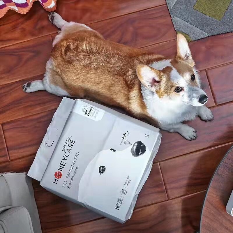 Good Fortune Born Dog Kitty Rabbit Magic Funnel Absorbent Pet Urine Sheet Deodorant Urine Mat Urine Not Wet Thickened Diaper