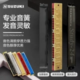 Япония Suzuki Hippin 24 Kong Sunyin C Ученые -настройки AFG#C Десять студентов.