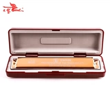 天鹅 Hard 24 Horchong Vocal Piano C Строительная фабрика 30 -летия Мемориал Мемориал Мемориал Мемориал Limited Model Piano