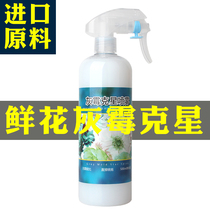 Israel imports gray mold nemesis anti-gray mold spray sterilization and disinfection to prevent flower gray mold spray