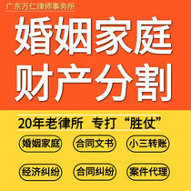 Divorce lawyer consultation legal services marital infidelity property agreement custody will dispute prosecution agreement