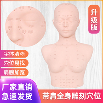 Beauty salon practice techniques Dummy head model Skin management Massage Face carving acupuncture points with shoulder doll head