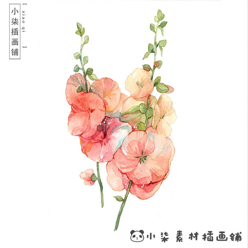 水彩花卉植物手绘教程线稿手绘速写水彩植物美术生临摹素材电子图
