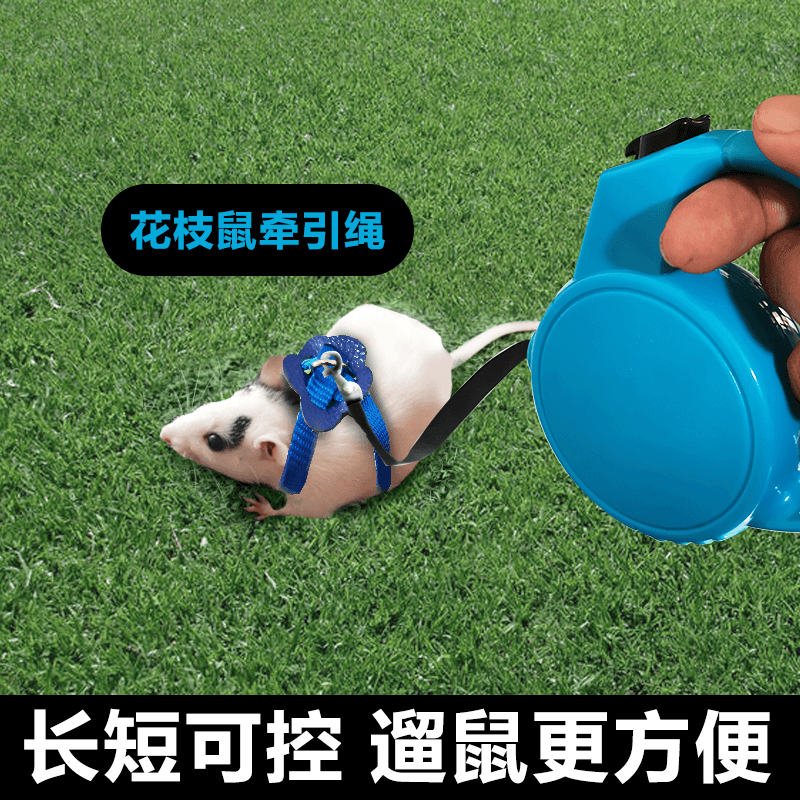 The Fried Hamster Traction Rope Flowers Branches Rat Golden Silk Bear Guinea Pig small darling special-looking vest-style anti-out and out of the rope