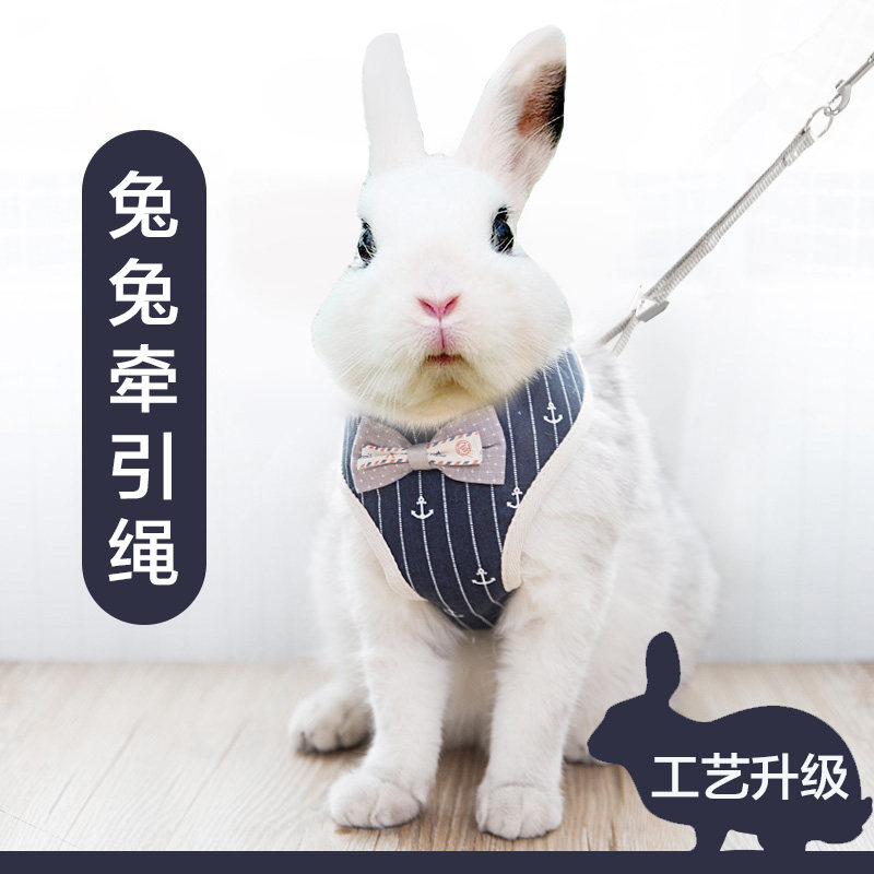 Rabbit Traction Rope Summer Vest Anti Bite Earned off Chain Out Special Pet Rabbit rabbit Rabbit God's Divine Instrumental Adjustable