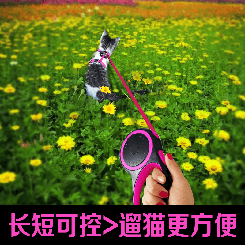Flex Cat Traction Rope telescopic adjustable chain Anti-Escape Cuddling bag Summer out of the house to walk the small kitty special deviner