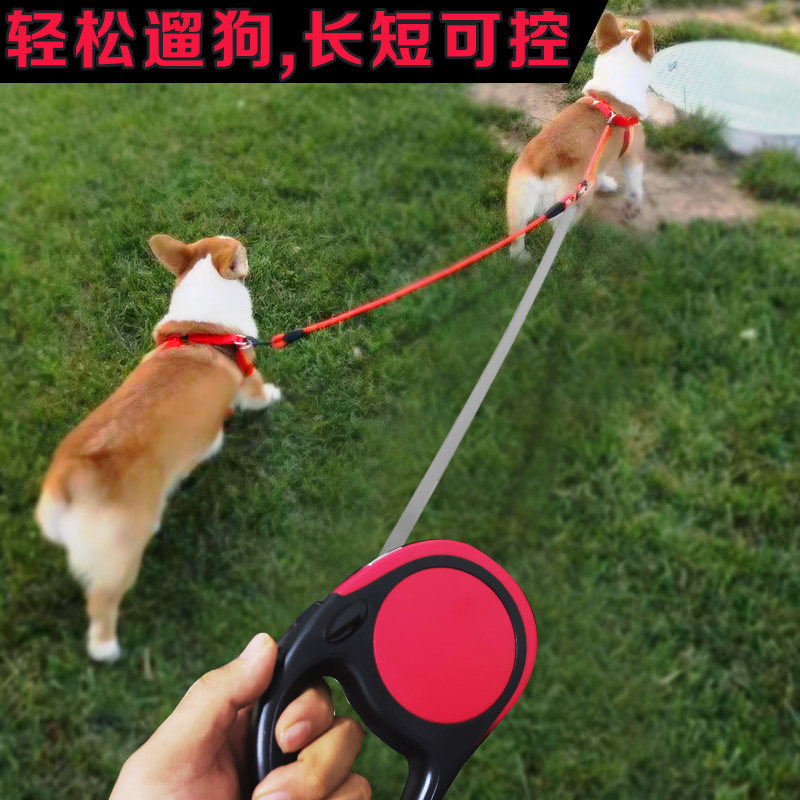 One Drag Two Teddy Tippy Dog Traction Rope Two Dogs Big-size Large Canine Automatic Telescopic Double Head Walking Dog Chain