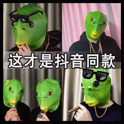 Green fish head hood funny green headgear horse head dog head funny green fish man unicorn Net Red no smell carp
