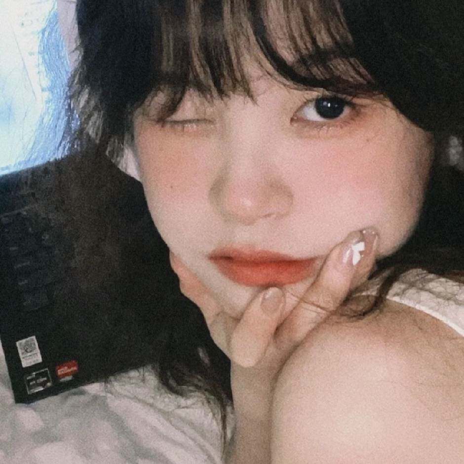 凤包包