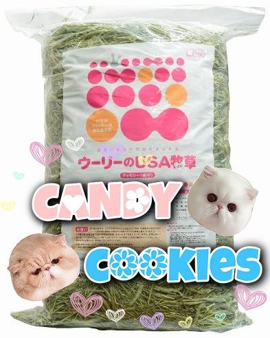 Spot Japanese wooly rabbit chinchilla rabbit food American cut natural timothy grass 3kg