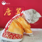 Праздничнный удерживающий тепло демисезонный пуховик, ципао для принцессы, китайский стиль