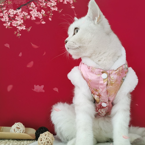 Кошка и собака новогодние танг одета в праздничная одежда осень и зимний домашний живот Чонсам, чем красота плюшевые Bomei маленькие собаки Новый год