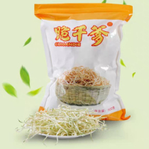 Guangxi farm fresh dried shredded papaya dried Heng County specialty dried shredded papaya diced 500g bulk pickles for rice